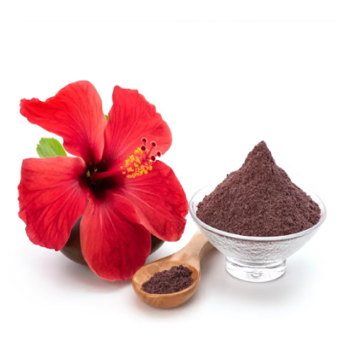 HIBISCUS POWDER
