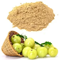 AMLA POWDER