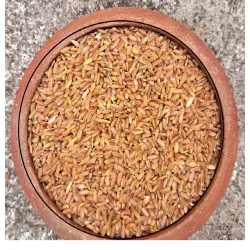 RATHASALI RICE