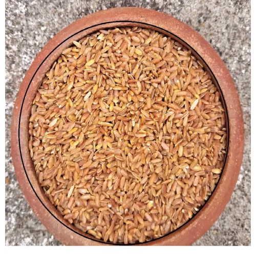 RATHASALI RICE