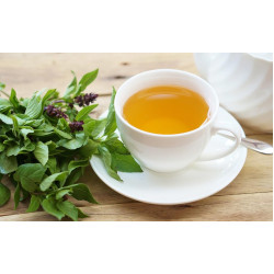 TULASI TEA TULASI TEA