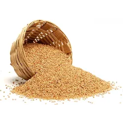 PULUNGAL KUDIRAIVOLLY PULUNGAL KUDIRAIVOLLY