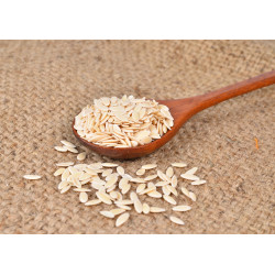 Cucumber Seed Cucumber Seed