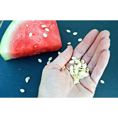 Watermelon Seed